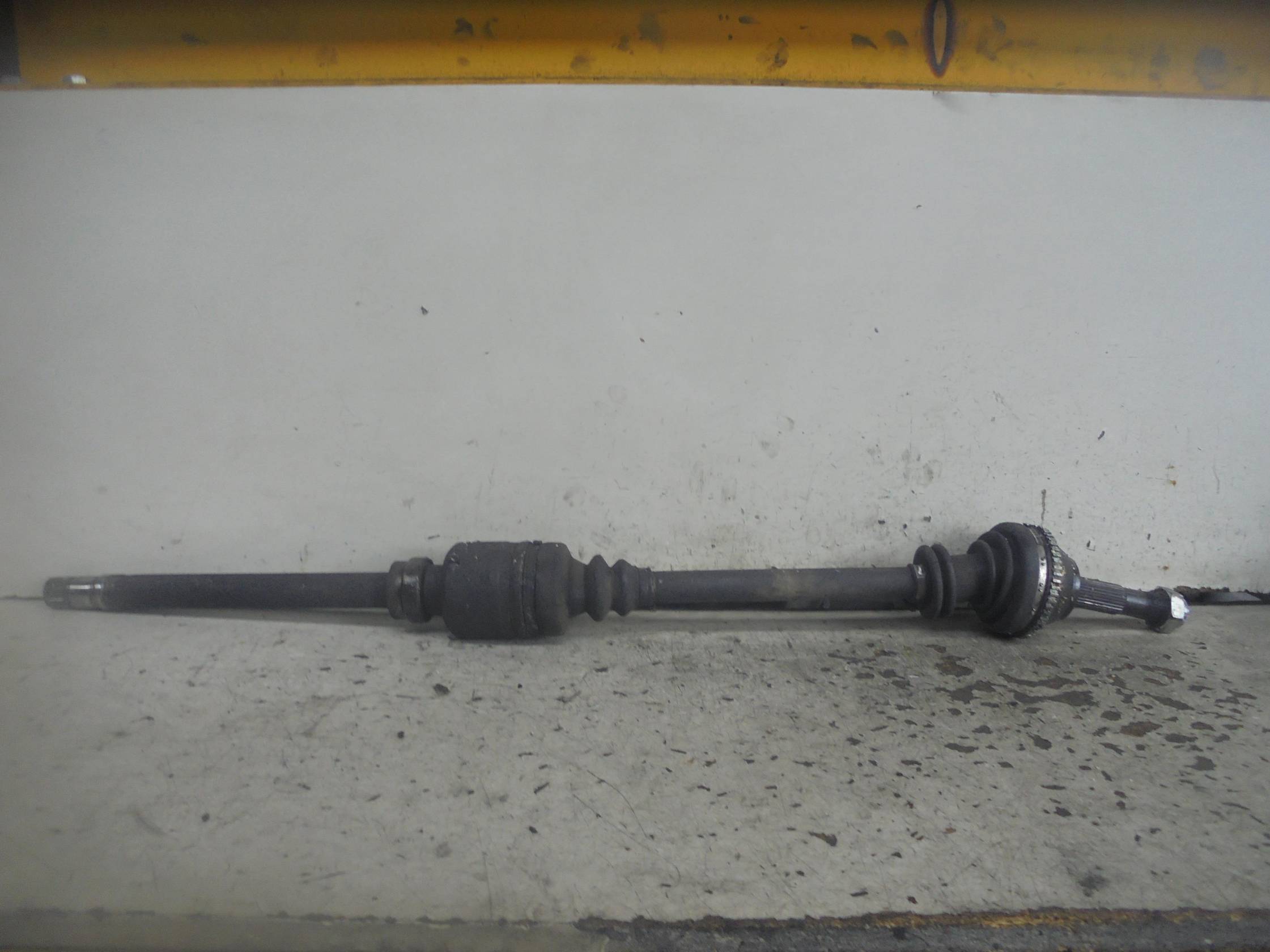 Semialbero ant. compl. dx.